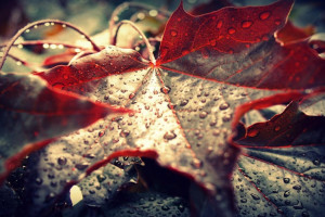 AI电竞互动系统，让你的每一次点击都更有意义