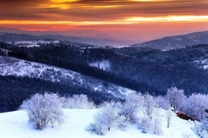 信仰之战！和平精英国际冠军杯，为热爱而战的每一支队伍